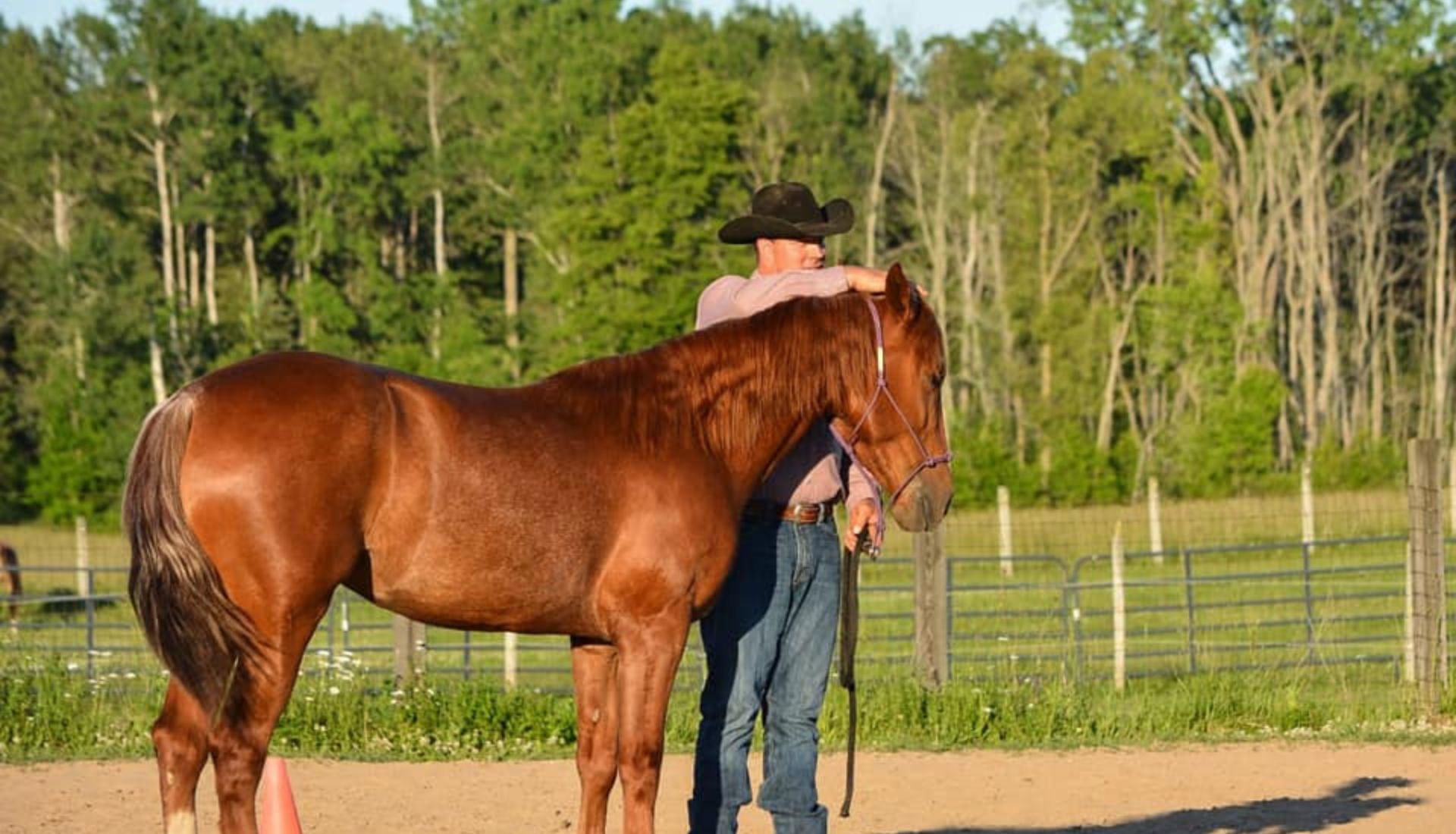 levi-with-horse-outside