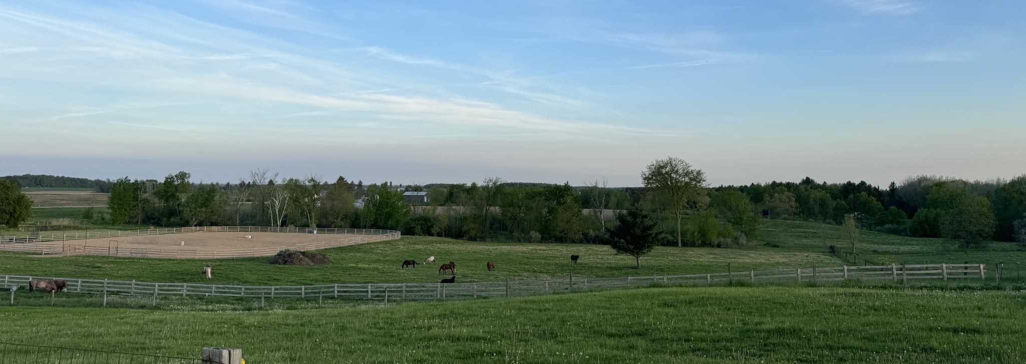 beautiful horse farm in Michigan for horse clinics and horse training